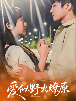 爱似野火燎原（47集）百度网盘在线看