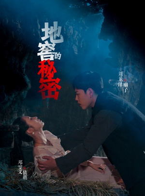 地窖的秘密（40集）好看的短剧推荐