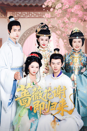 蔷薇花谢即归来（61集）爆款短剧追不停