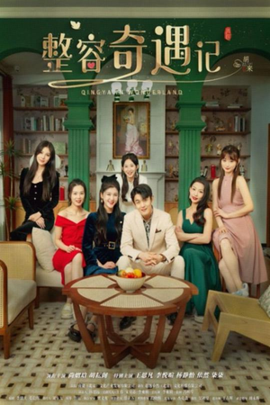 整容奇遇记（80集）免费观看完整版