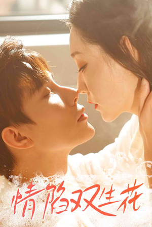 情陷双生花（30集）免费短剧完整版