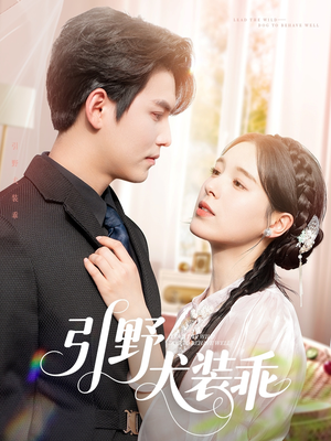 引野犬装乖（61集）解说文案