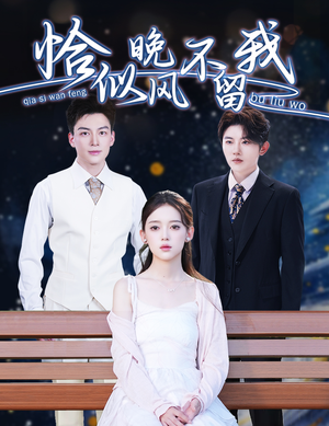 恰似晚风不留我（51集）全集都在这里了