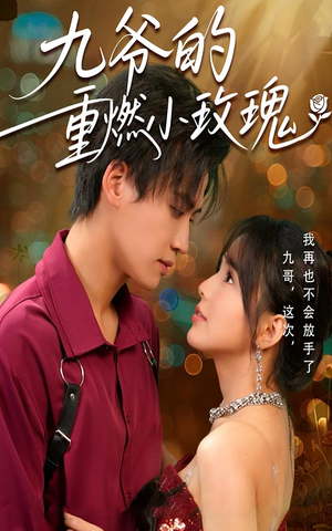 九爷的重燃小玫瑰（67集）短剧在哪个平台
