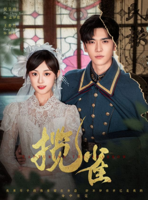 揽雀（61集）分享好看短剧