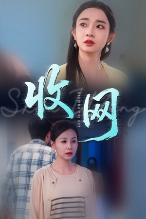 收网（60集）常回家看看短剧