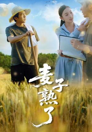 麦子熟了（52集）短剧分享片段