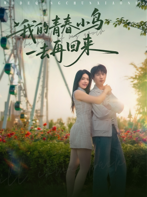我的青春小鸟一去再回来（95集）热门短剧抢先
