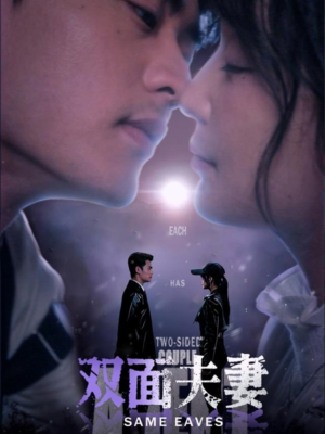 双面夫妻（67集）免费短剧资源