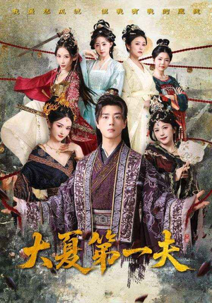 大夏第一夫（90集）短剧全集免费看