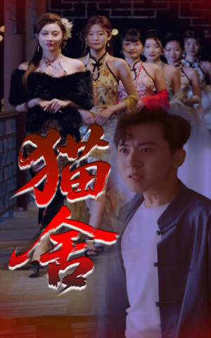 猫舍（34集）短剧免费观看