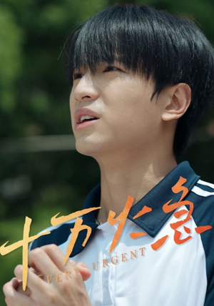 十万火急（30集）全集免费看短剧