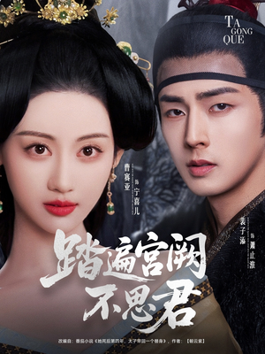 踏遍宫阙不思君（75集）全部免费看全集