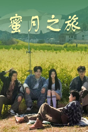 蜜月之旅（35集）热播短剧来袭