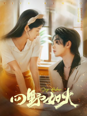 四野如火（79集）每日分享短剧