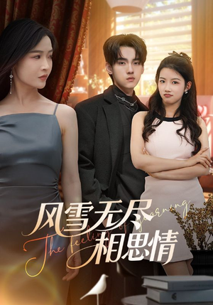 风雪无尽相思情（61集）短剧也太好看了