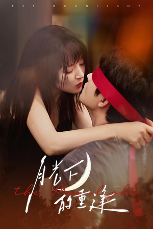 月光下的重逢（54集）短剧后续更精彩