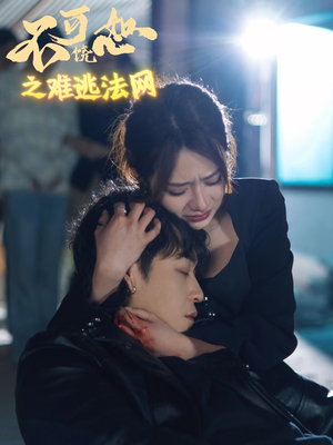 不可饶恕之难逃法网（20集）短剧推荐更新中