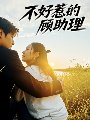 不好惹的顾助理（67集）番茄短剧看全集