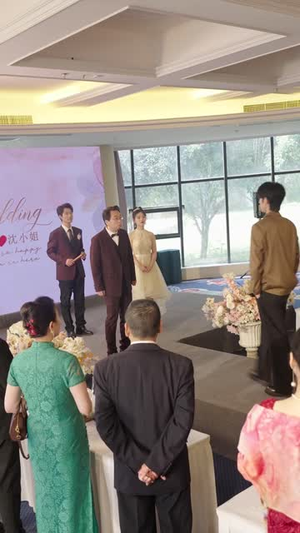 陆总你逃不掉了（44集）最后的大结局