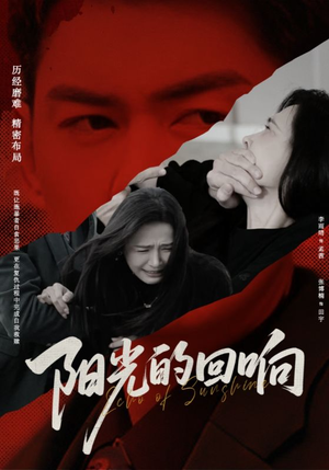 阳光的回响（50集）热播短剧来袭