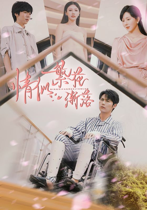 情似繁花渐落（62集）完整版