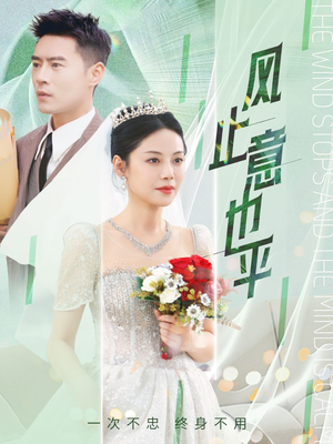 风止意也平（41集）每日短剧追不停