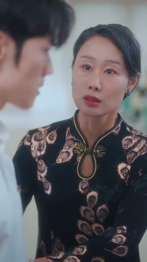 春风不渡有情人（60集）短剧追不停