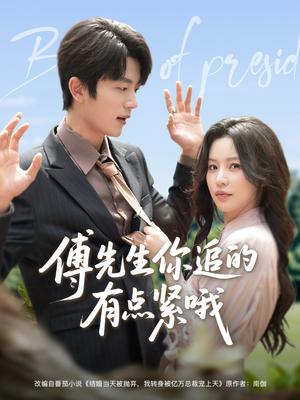 傅先生你追的有点紧哦（95集）高分推荐免费看