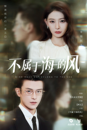不属于海的风(40集) 不属于海的风(40集)最新上映的短剧