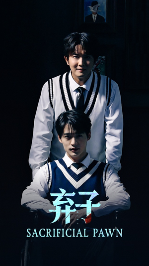 弃子（75集）百度网盘资源