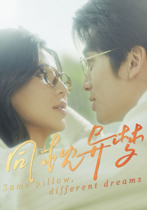 同枕异梦（50集）热门爆款短剧