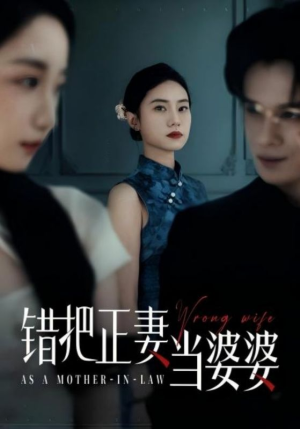 错把正妻当婆婆（46集）免费短剧全集看