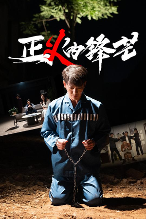 zheng正义的锋芒（64集）热门短剧分享