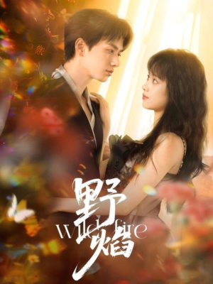 野焰（60集）精彩好看的短剧