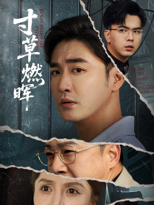 寸草燃晖(70集) 寸草燃晖(70集)爆火短剧抢先看