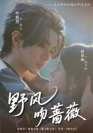 野风吻蔷薇（78集）热门短剧来袭