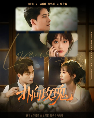 扑向玫瑰（77集）爱上了这部剧了