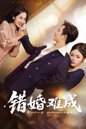 错婚难成（45集）短剧太好看