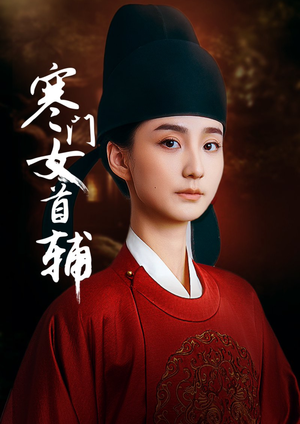 寒门女首辅（80集）爱上了这部剧了