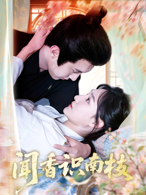 闻香识南枝（60集）1-102集