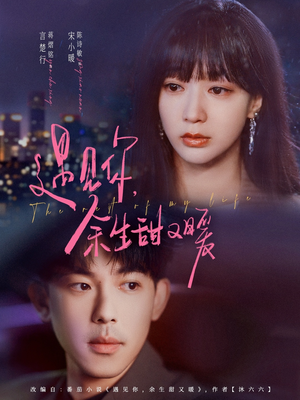 遇见你余生甜又暖（70集）短视频追剧推荐