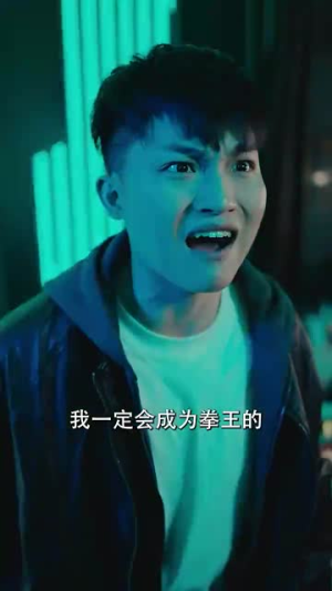 拳王之父子双龙（89集）免费短剧大全