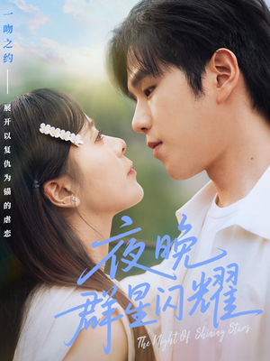 夜晚群星闪耀（70集）一起追生活短剧