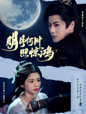 明月何时照惊鸿（80集）热门短剧大全