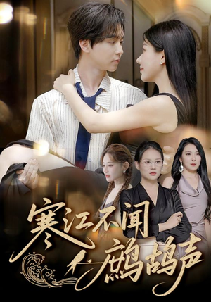 寒江不闻鹧鸪声(55集) 寒江不闻鹧鸪声(55集)全集