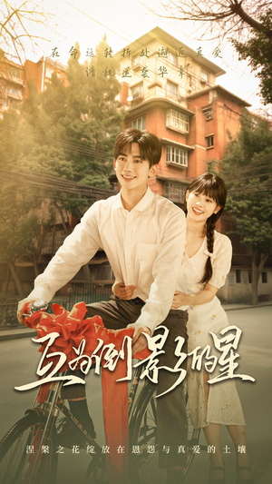 互为倒影的星（72集）免费看