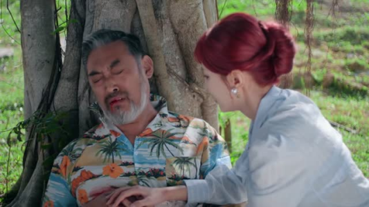 千金一掷（26集）热门短剧追到爽