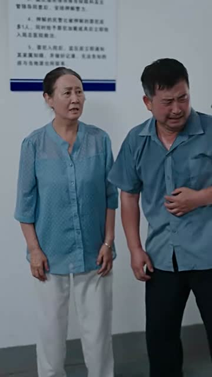 结婚当天我被妻子告上法庭（30集）短剧全集抢先看