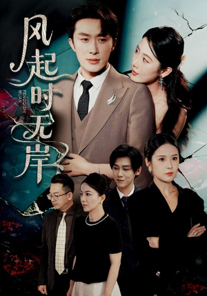 风起时无岸（58集）一口气追完短剧